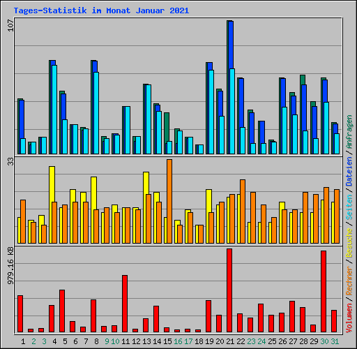 Tages-Statistik im Monat Januar 2021