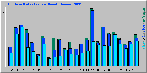Stunden-Statistik im Monat Januar 2021