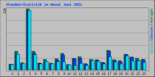 Stunden-Statistik im Monat Juni 2021