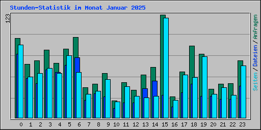 Stunden-Statistik im Monat Januar 2025