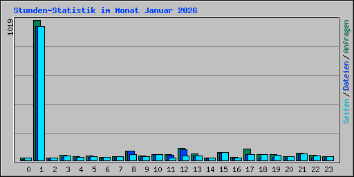 Stunden-Statistik im Monat Januar 2026