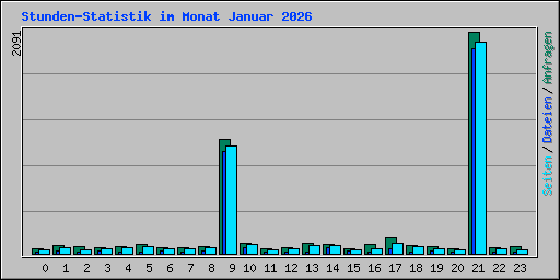 Stunden-Statistik im Monat Januar 2026