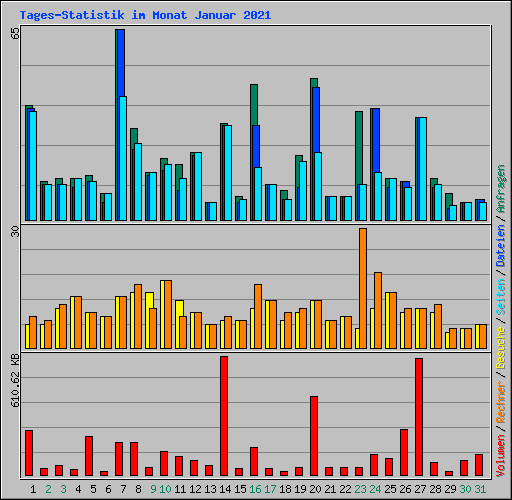 Tages-Statistik im Monat Januar 2021