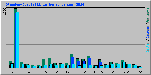 Stunden-Statistik im Monat Januar 2026