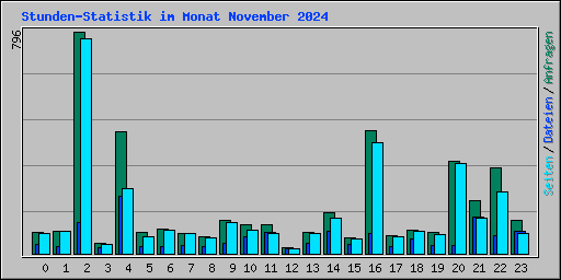 Stunden-Statistik im Monat November 2024
