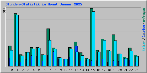 Stunden-Statistik im Monat Januar 2025