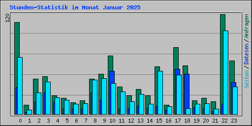 Stunden-Statistik im Monat Januar 2025