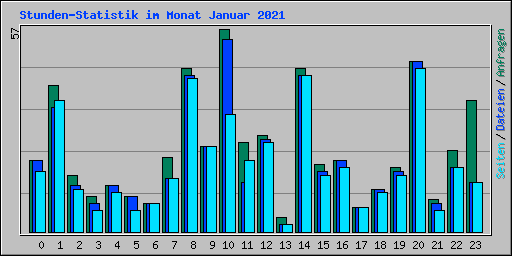 Stunden-Statistik im Monat Januar 2021