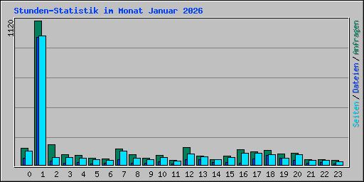 Stunden-Statistik im Monat Januar 2026