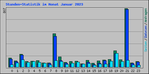 Stunden-Statistik im Monat Januar 2023