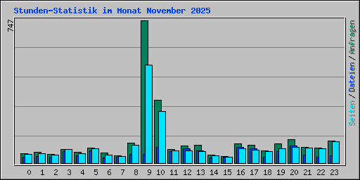 Stunden-Statistik im Monat November 2025