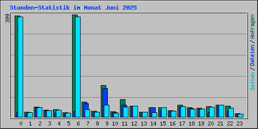 Stunden-Statistik im Monat Juni 2025