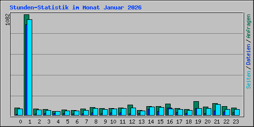 Stunden-Statistik im Monat Januar 2026