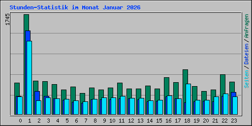 Stunden-Statistik im Monat Januar 2026