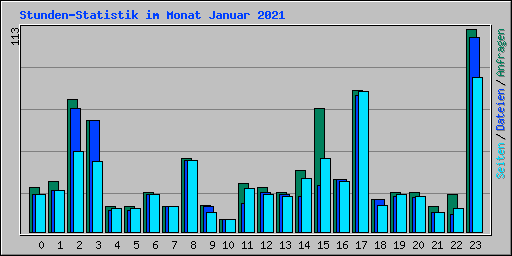 Stunden-Statistik im Monat Januar 2021