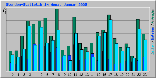 Stunden-Statistik im Monat Januar 2025