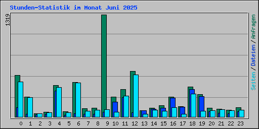 Stunden-Statistik im Monat Juni 2025