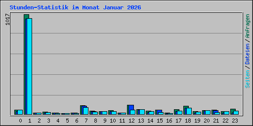 Stunden-Statistik im Monat Januar 2026
