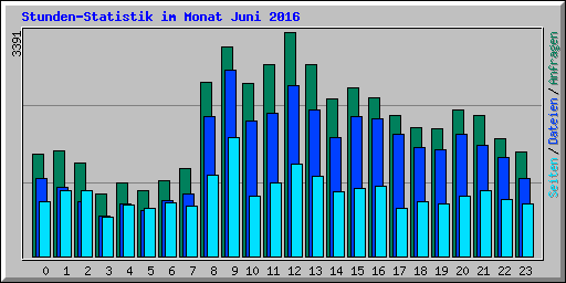 Stunden-Statistik im Monat Juni 2016