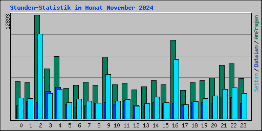 Stunden-Statistik im Monat November 2024