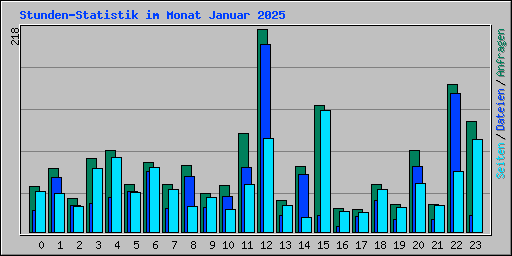 Stunden-Statistik im Monat Januar 2025