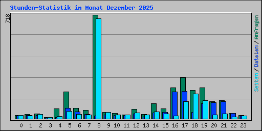 Stunden-Statistik im Monat Dezember 2025